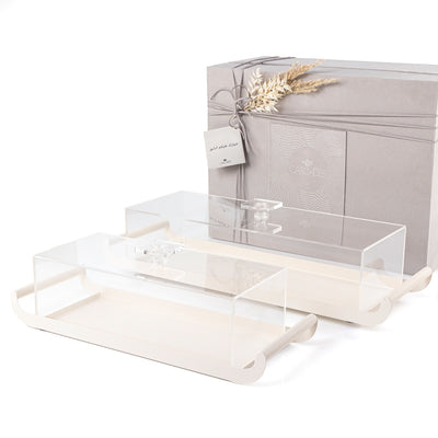 Set of 2 Beige Rectangular Metal Trays with Acrylic Covers
