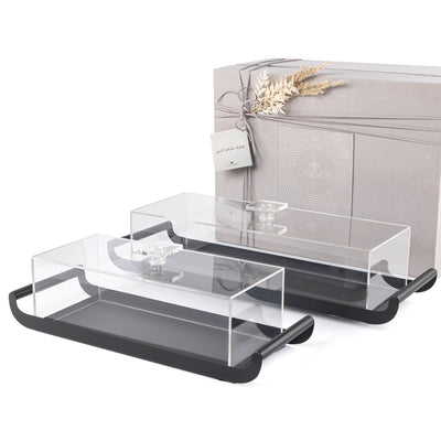 Set of 2 Black Rectangular Metal Trays with Acrylic Covers